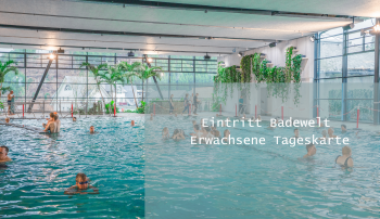 Eintritt Badewelt Erwachsene Tageskarte